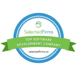 selectedfirms-software-development